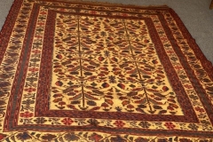 rug cleaning 32