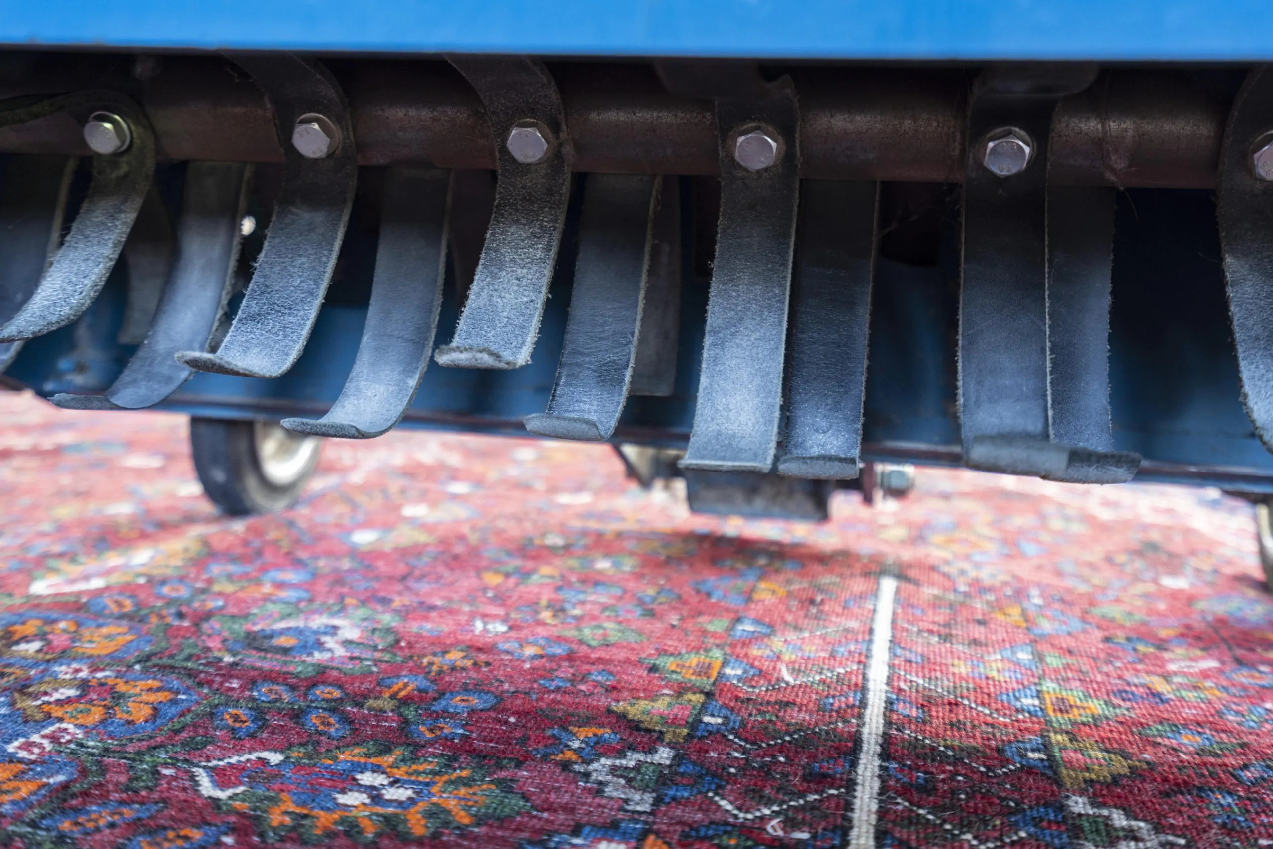 rug cleaning 13 scaled