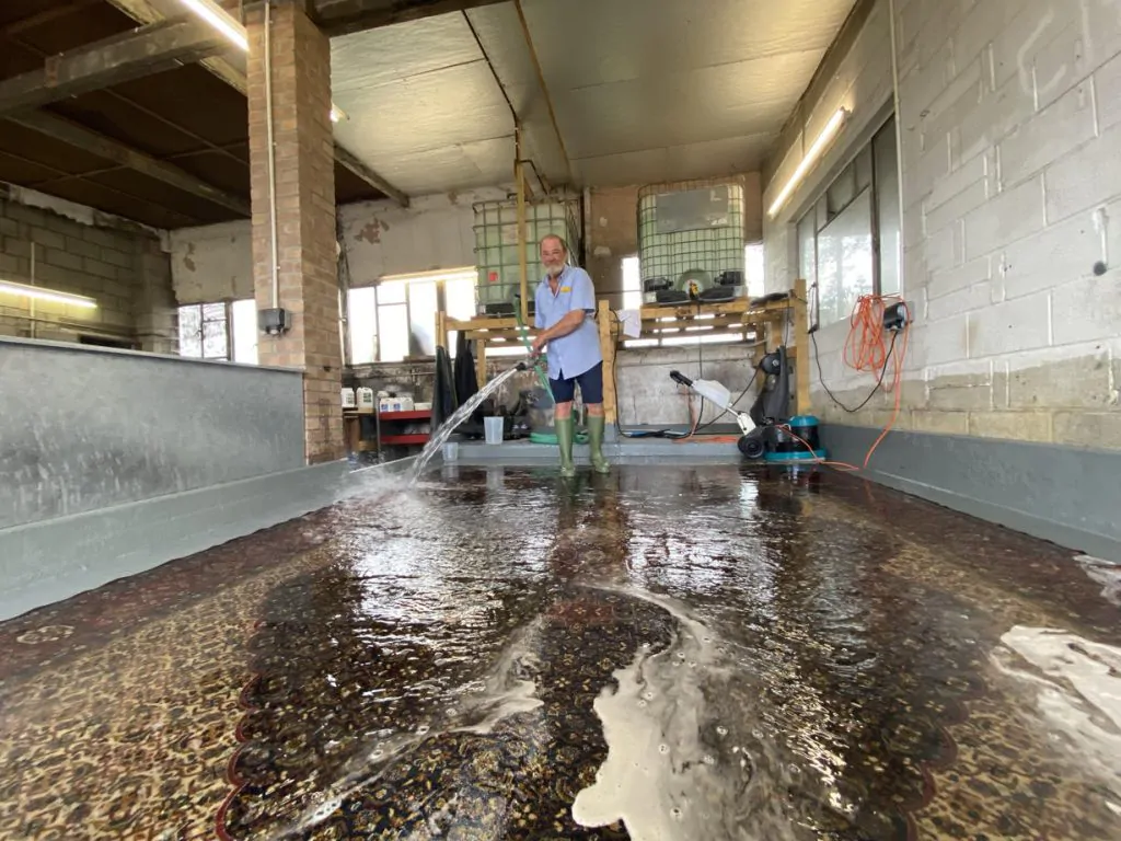 rug cleaning 52