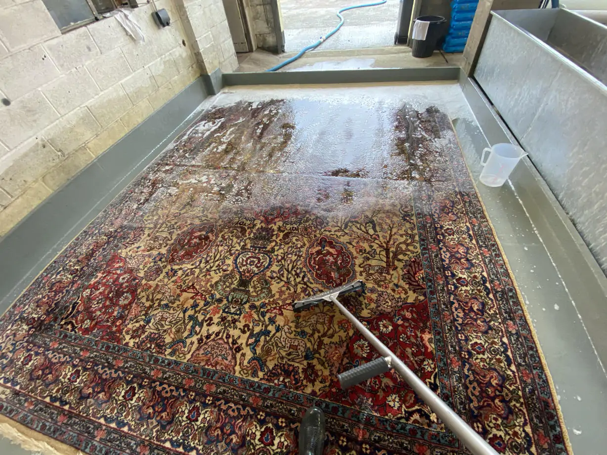 rug cleaning 9