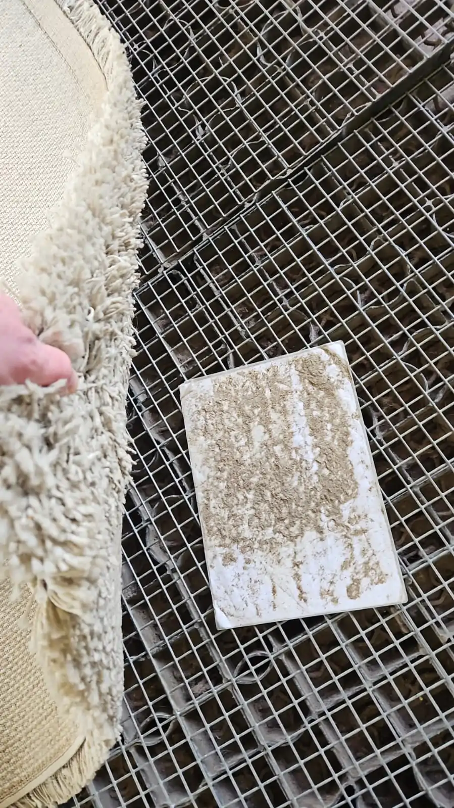 rug cleaning process step 2