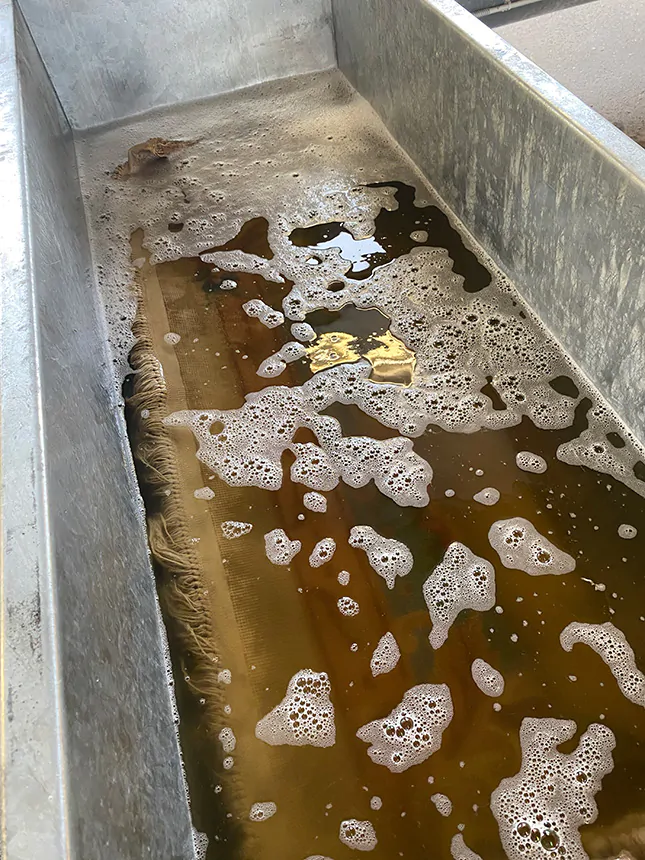 rug cleaning process step 3