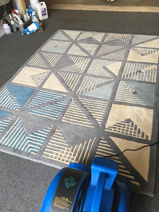 rug cleaning process step 7